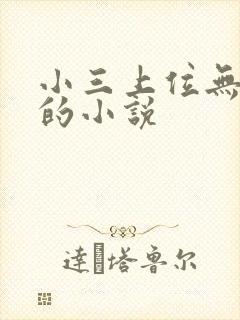 小三上位无三观的小说