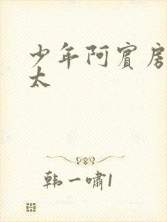 少年阿宾房东太太