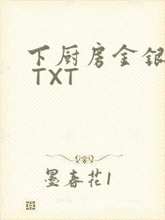 下厨房金银花露 TXT