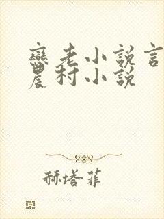 恋老小说言情网农村小说