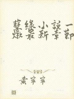 孽缘小说一家乱炖最新章节阅读