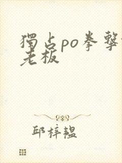 独占po拳击馆老板