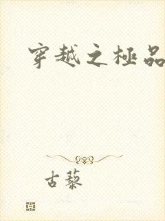 穿越之极品皇帝