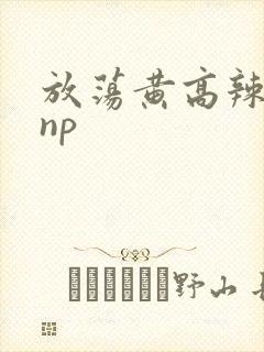 放荡黄高辣h文np
