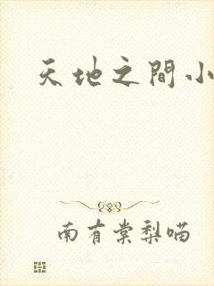 天地之间小说