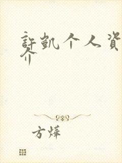 许凯个人资料简介