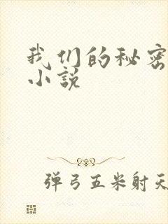 我们的秘密泰剧小说