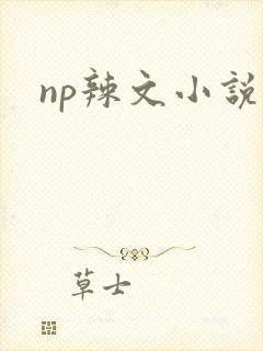 np辣文小说