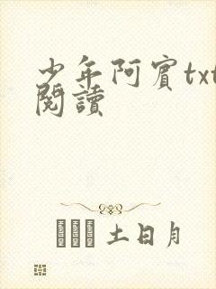 少年阿宾txt阅读