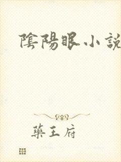 阴阳眼小说