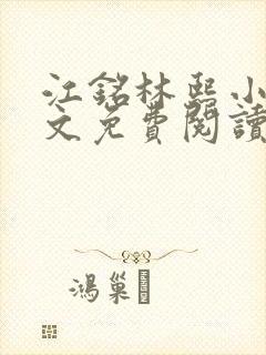 江铭林熙小说全文免费阅读