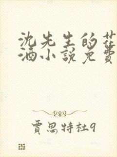 沈先生的花式调酒小说免费阅读