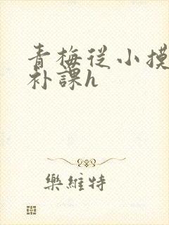 青梅从小摸到大补课h
