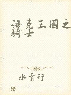 洛克王国之圣龙骑士