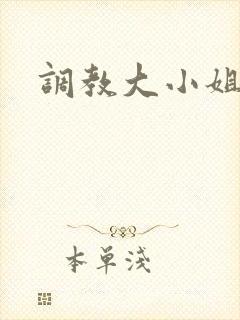 调教大小姐