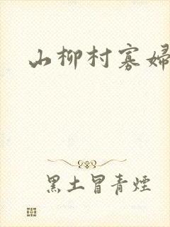 山柳村寡妇情史