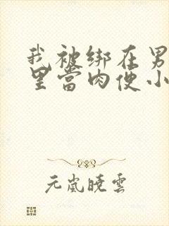 我被绑在男公厕里当肉便小说