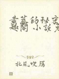 黄蓉的秘密 笔趣阁 小说免费阅读