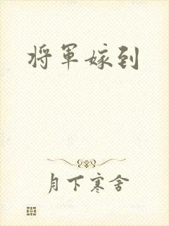 将军嫁到