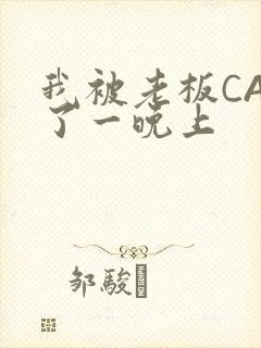 我被老板CAO了一晚上