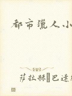都市猎人小说