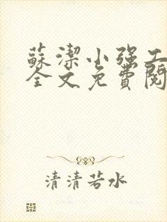 苏洁小强工地情全文免费阅读