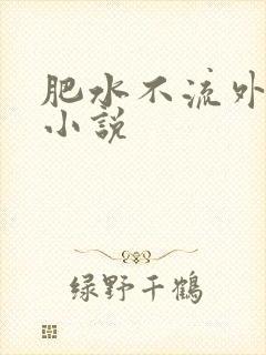 肥水不流外人田小说