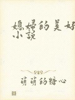 媳妇的美好时代小说