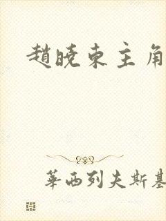 赵晓东主角小说