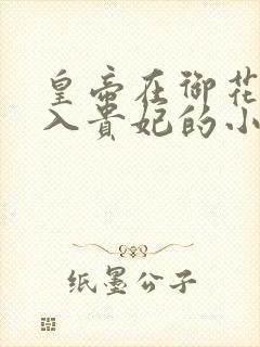 皇帝在御花园进入贵妃的小说