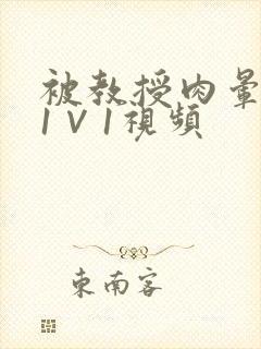 被教授肉晕了H1∨1视频