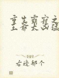 重生霸宠之摄政王爷太凶猛