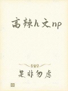 高辣h文np