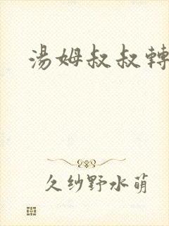 汤姆叔叔转接口