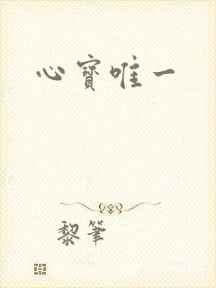 心宝唯一