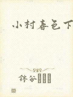 小村春色下载