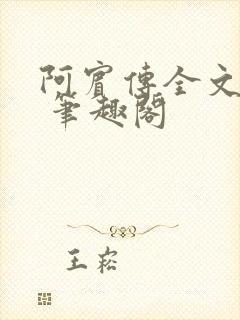 阿宾传全文阅读 笔趣阁