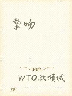 挚吻