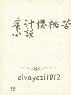 蜜汁樱桃苦咖啡小说