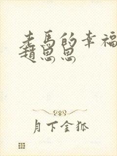 老马的幸福生活赵思思