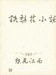 铁梨花小说