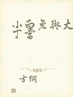 小白兔与大灰狼丁当