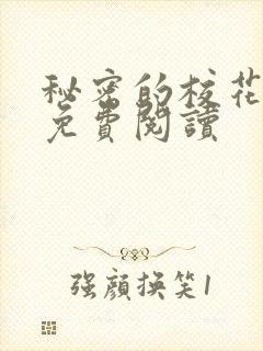 秘密的校花小说免费阅读