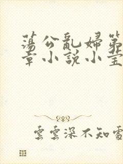 荡公乱妇第51章小说小莹