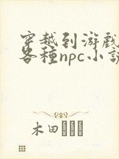 穿越到游戏里和各种npc小说