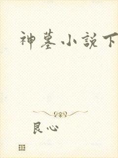 神墓小说下载
