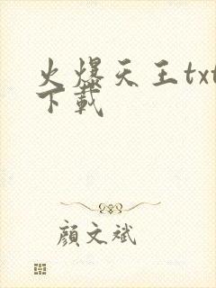 火爆天王txt下载