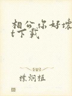 相公你好坏txt下载