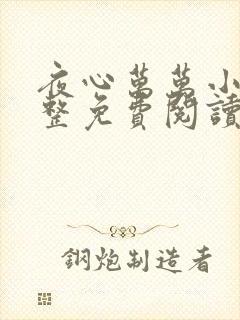 夜心万万小说完整免费阅读全文