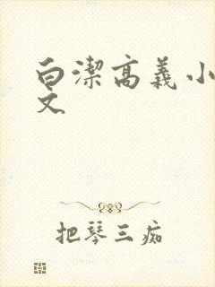 白洁高义小说全文